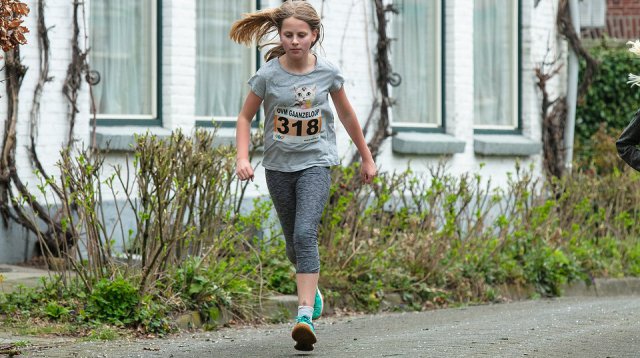 Gaanzeloop (zaterdag 23 maart 2019)